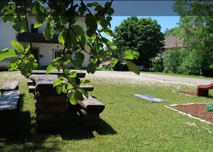 Grüner Baum Apartment Gampern