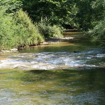 Gruener Baum Appartement