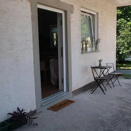 Gruener Baum * Gampern