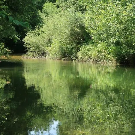 Gruener Baum Gampern