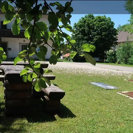 Gruener Baum Appartement Gampern