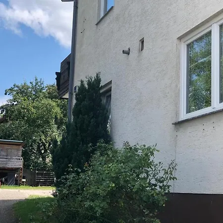 Gruener Baum
