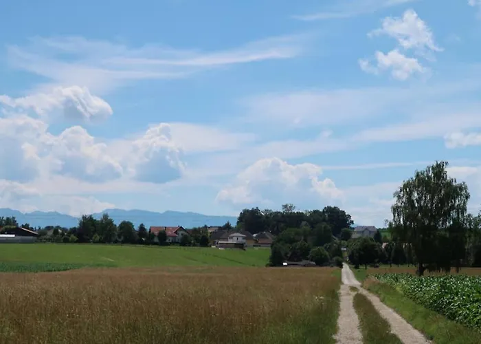 아파트 Gruener Baum Gampern