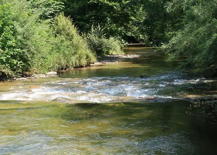 Gruener Baum 아파트