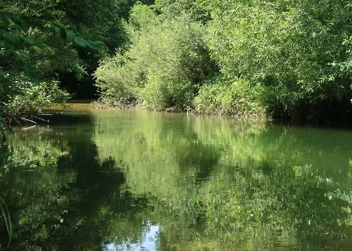 Gruener Baum Gampern